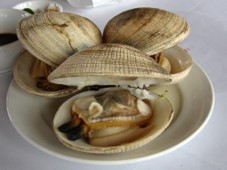 CORRUGATE LUCINE (NGÁN)